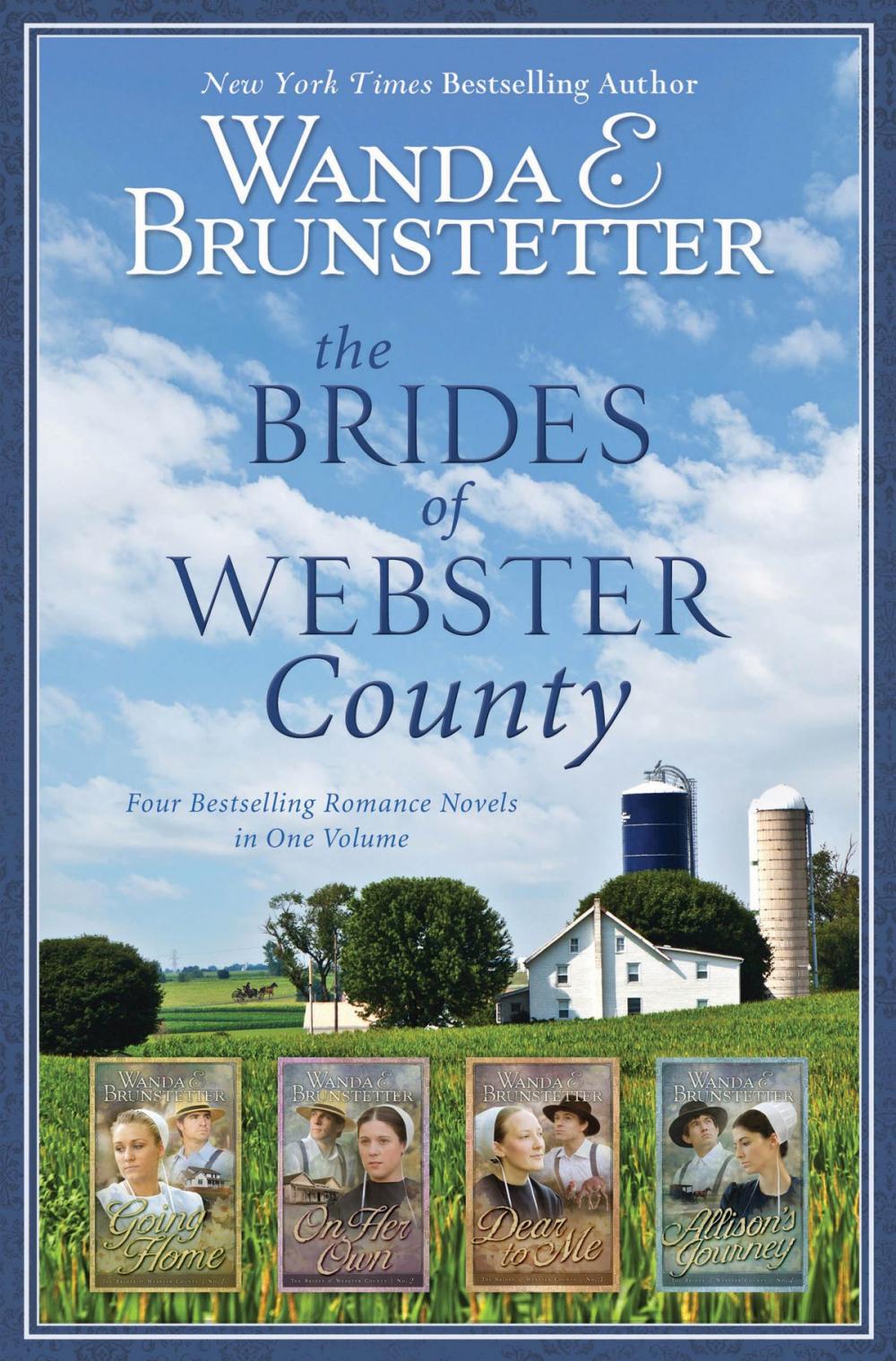 Big bigCover of The Brides of Webster County