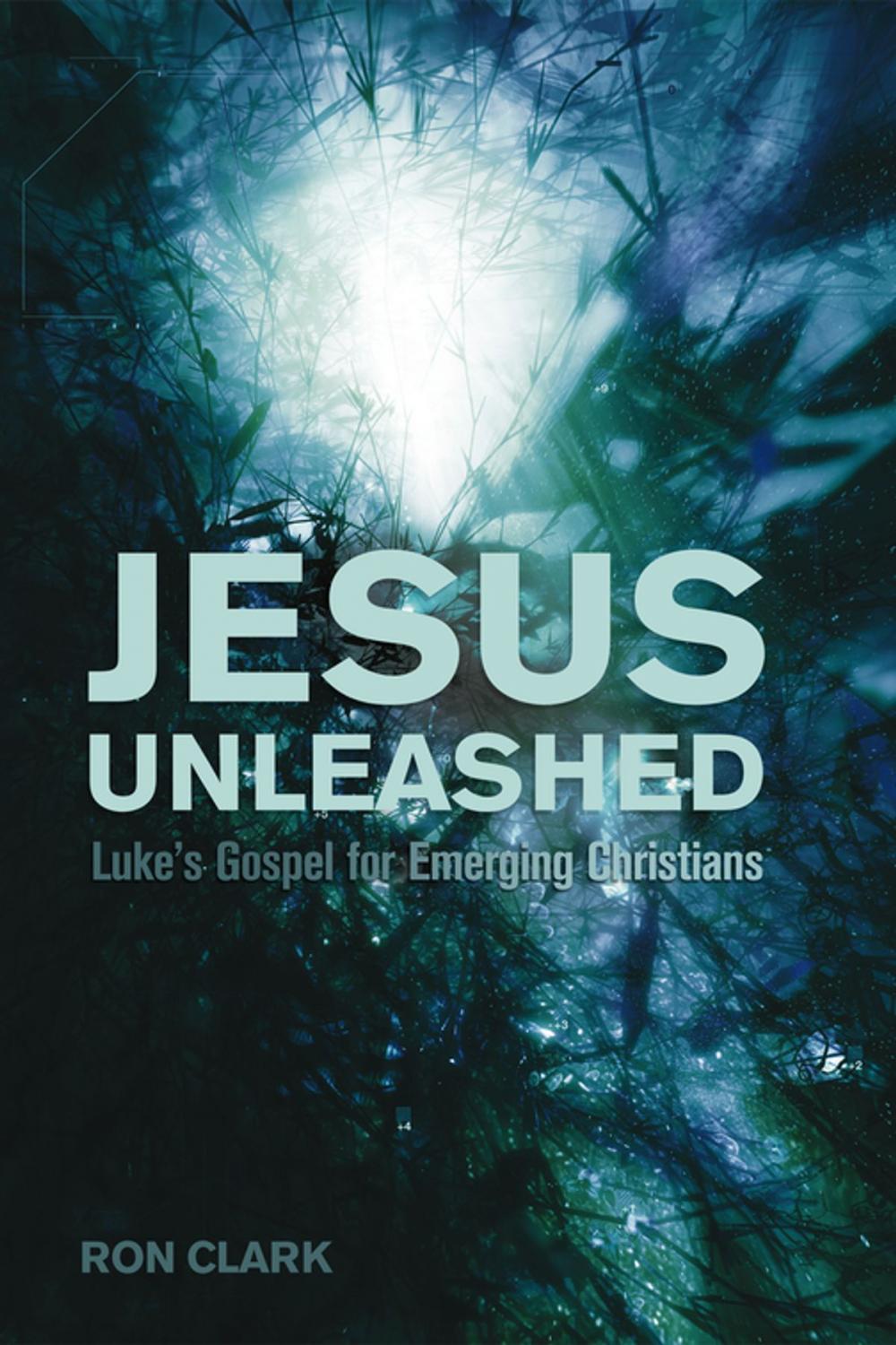 Big bigCover of Jesus Unleashed