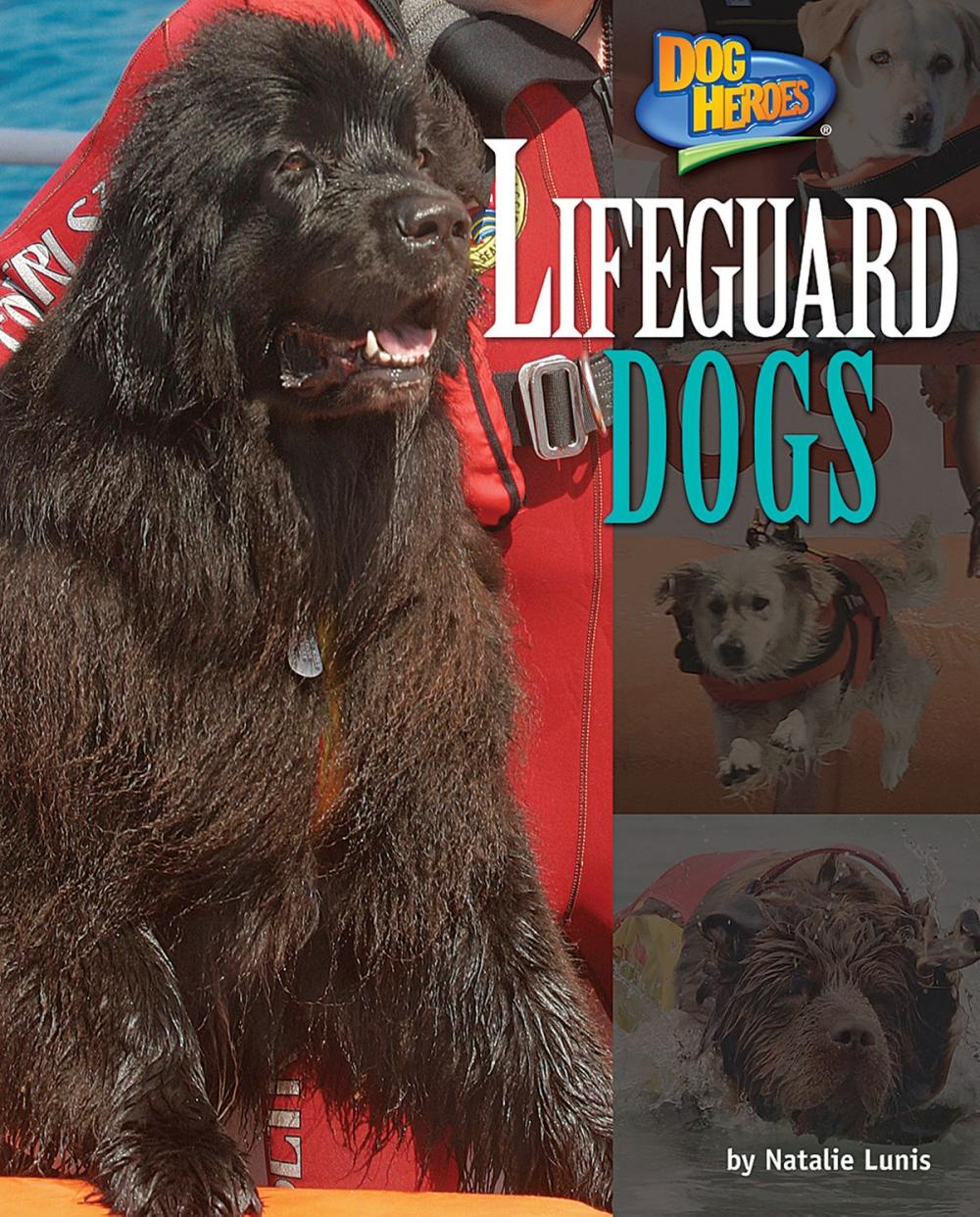 Big bigCover of Lifeguard Dogs