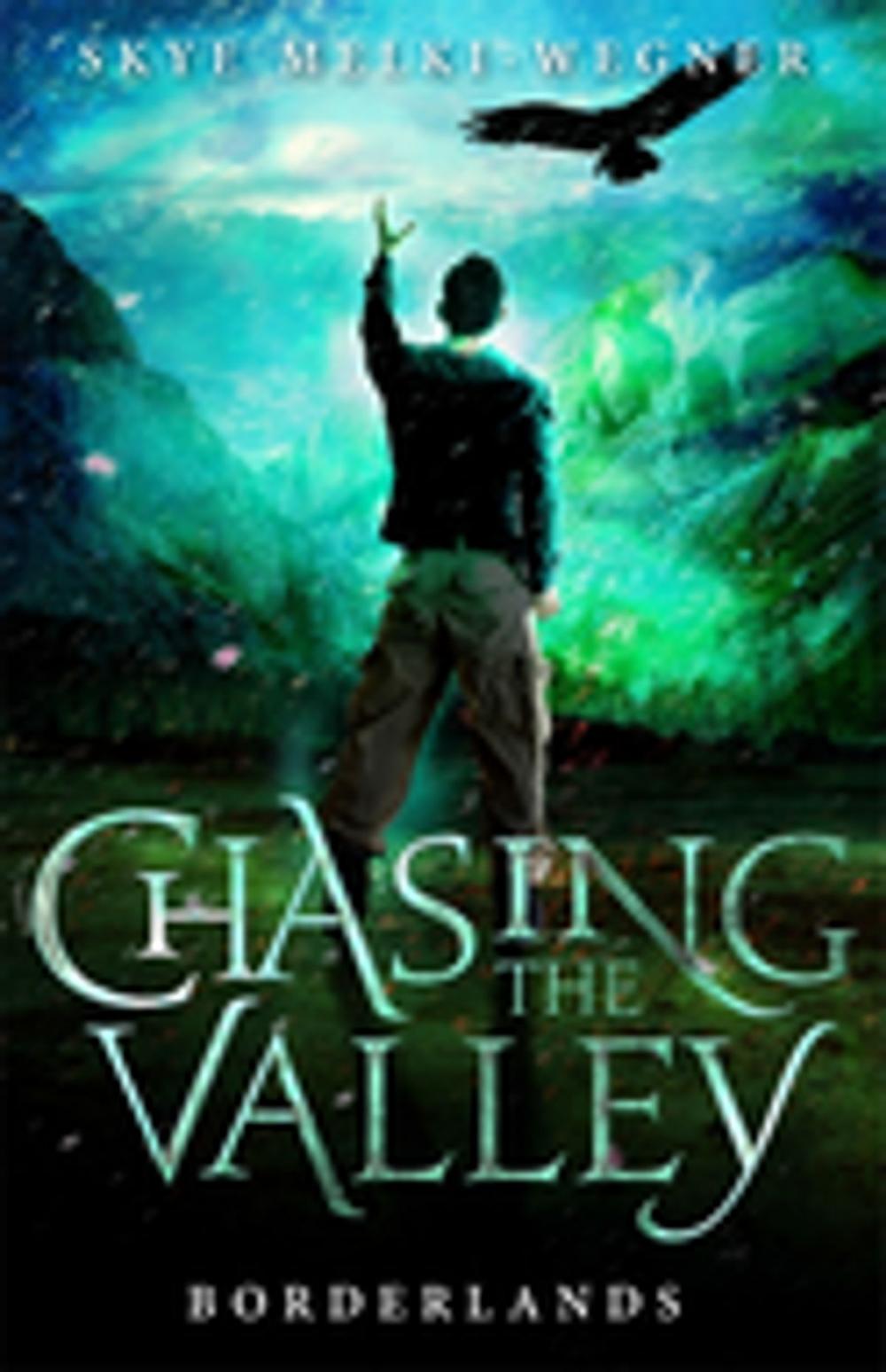 Big bigCover of Chasing the Valley 2: Borderlands