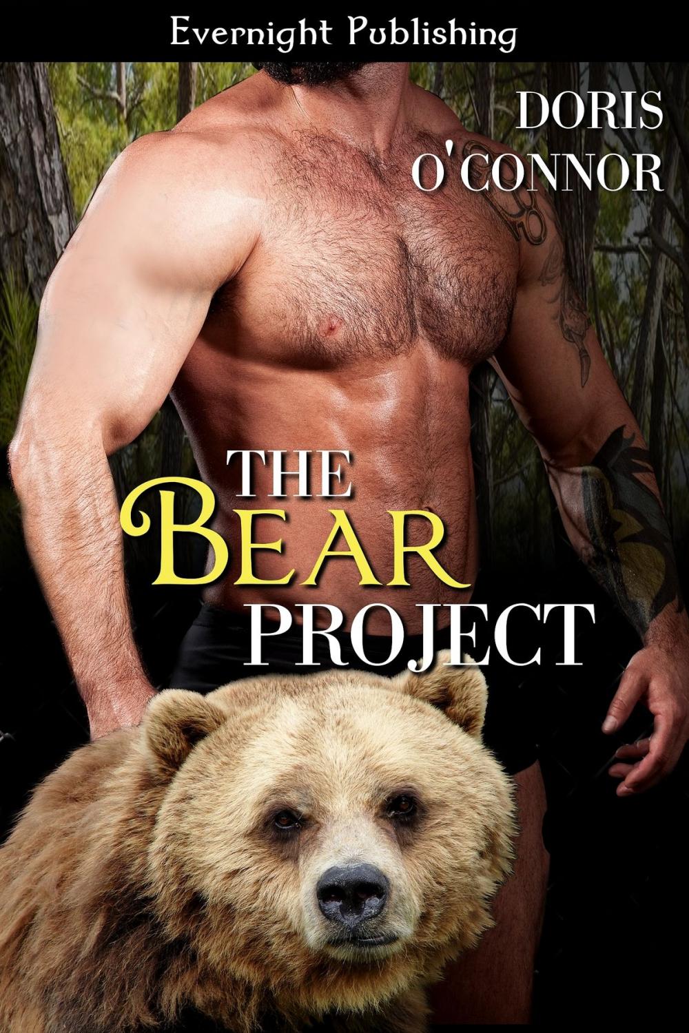 Big bigCover of The Bear Project