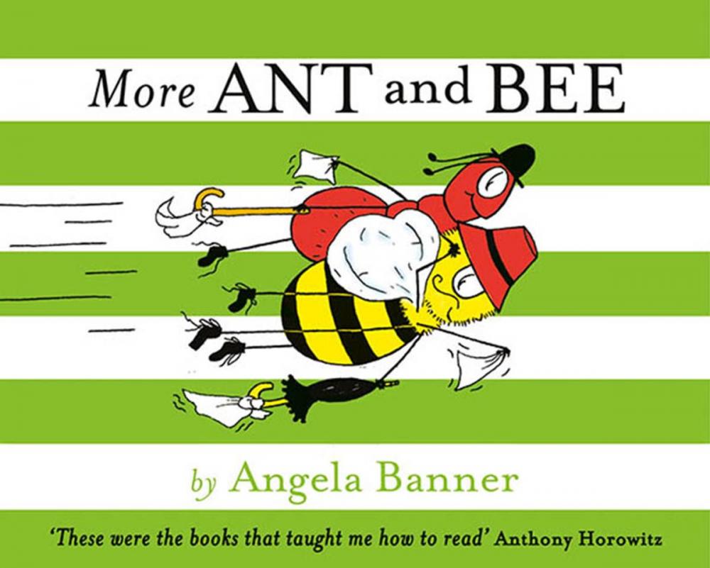 Big bigCover of More and More Ant and Bee