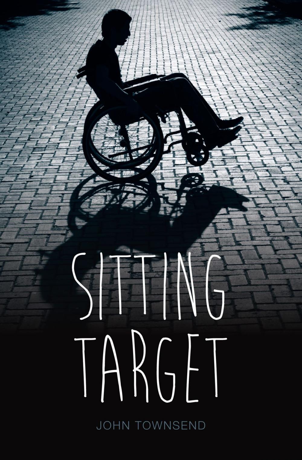 Big bigCover of Sitting Target