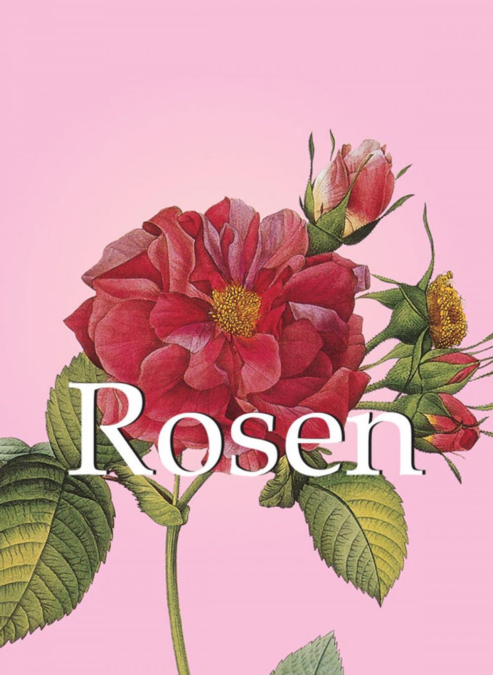 Big bigCover of Rosen