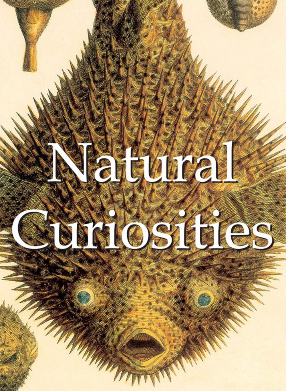 Big bigCover of Natural Curiosities