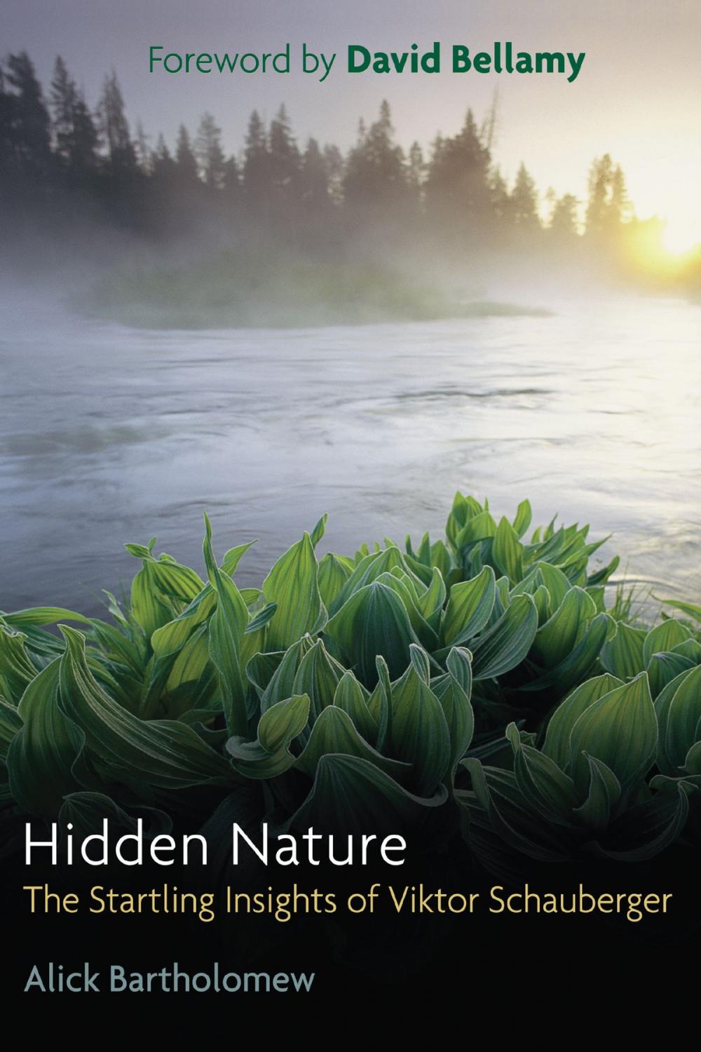 Big bigCover of Hidden Nature