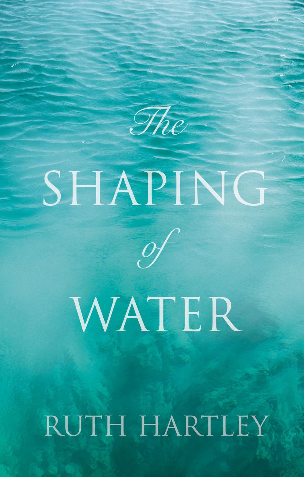 Big bigCover of The Shaping of Water