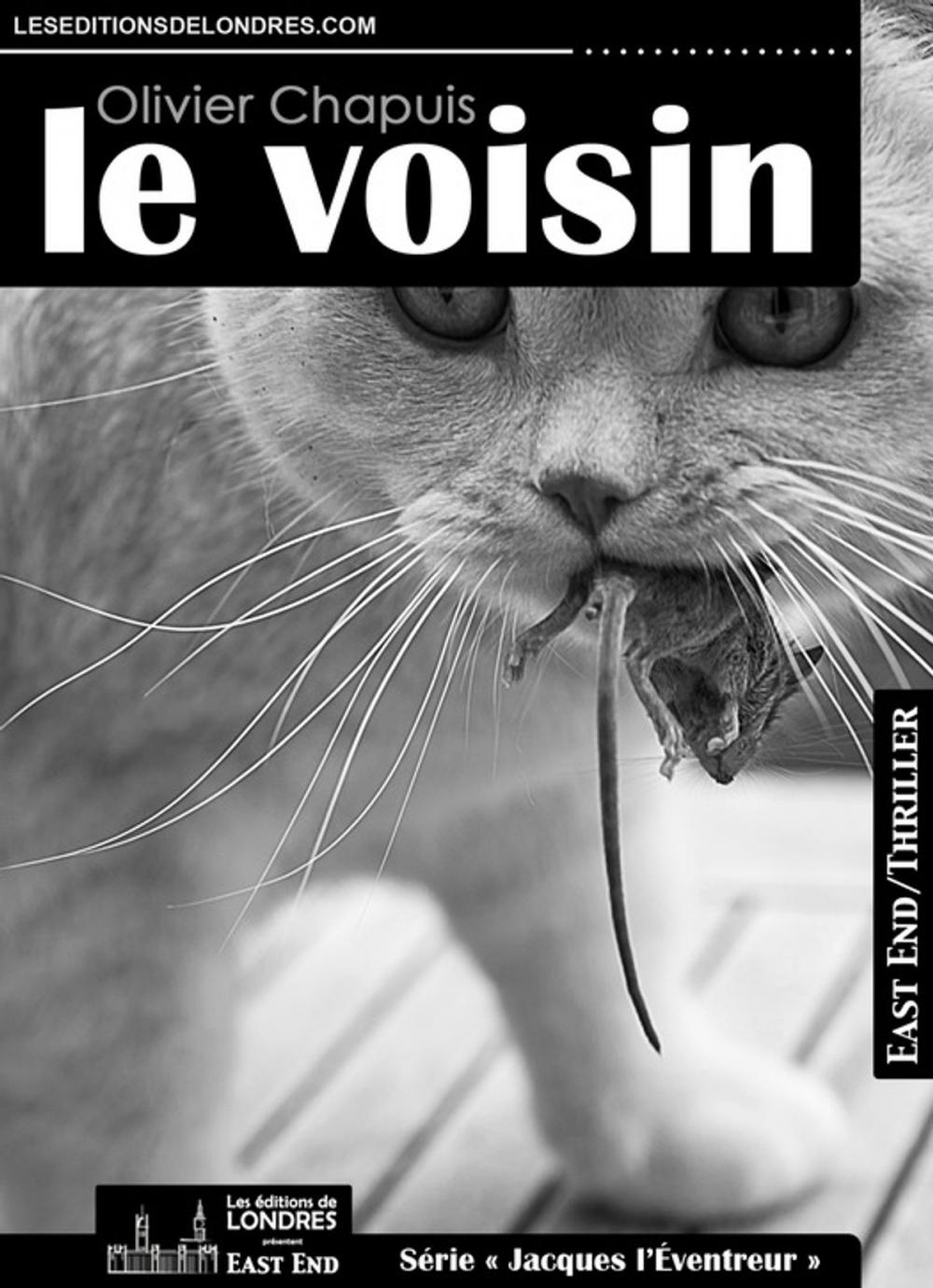 Big bigCover of Le voisin