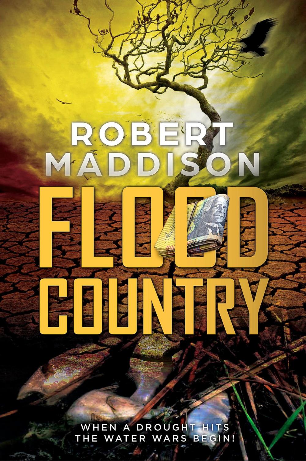 Big bigCover of Flood Country