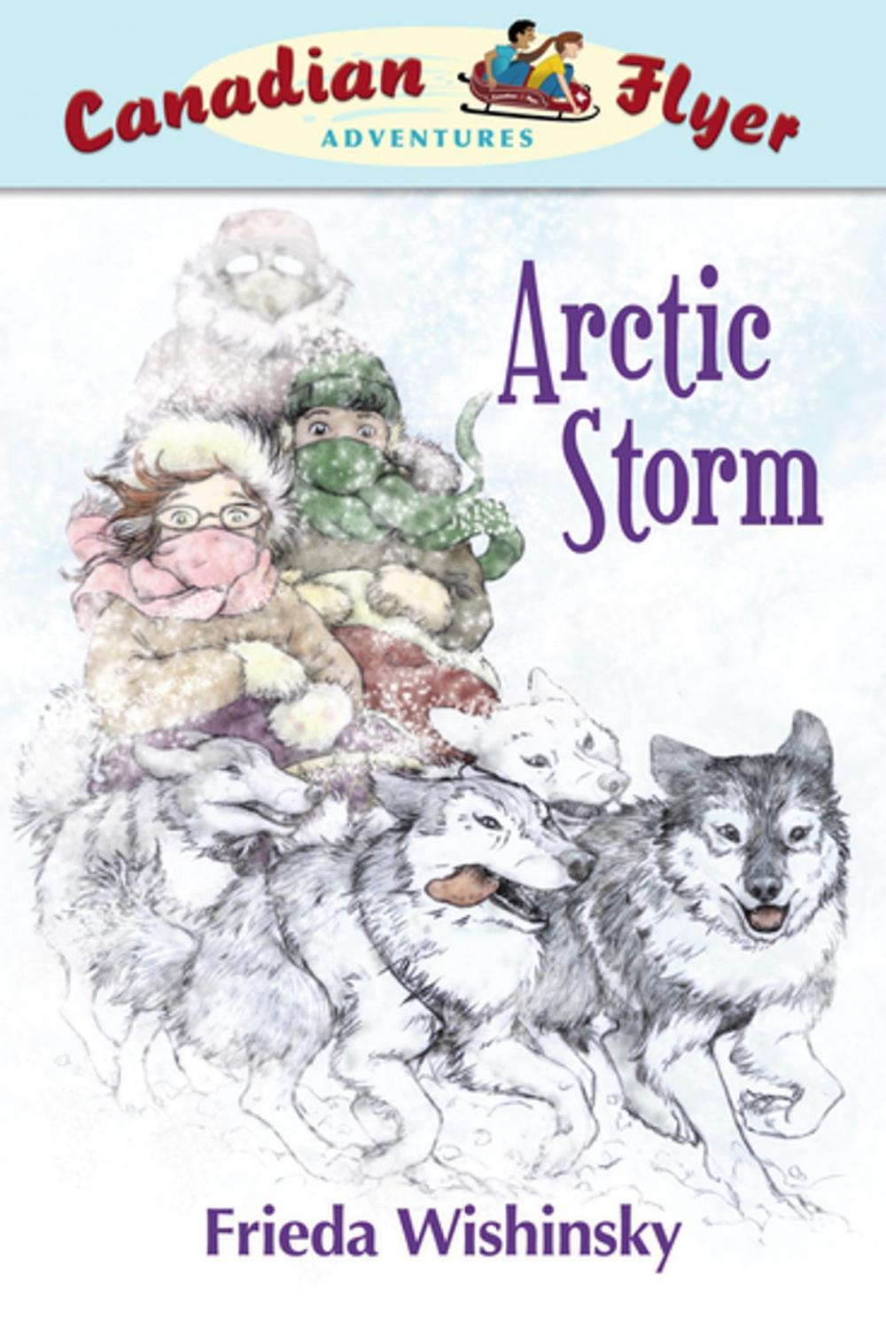 Big bigCover of Arctic Storm