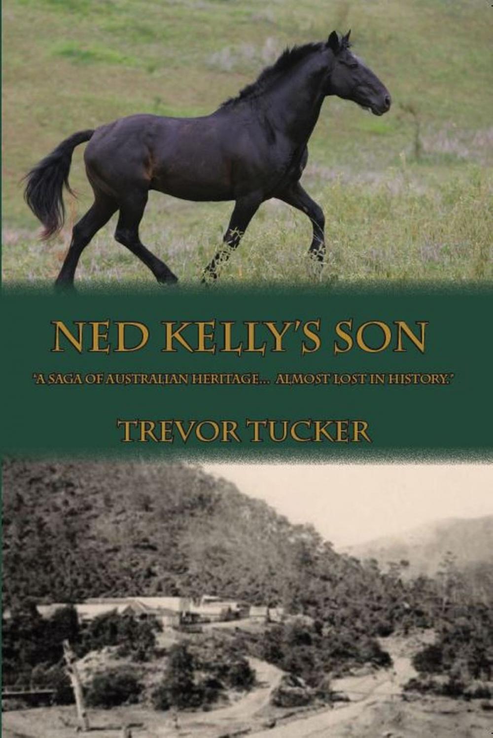 Big bigCover of Ned Kelly's Son