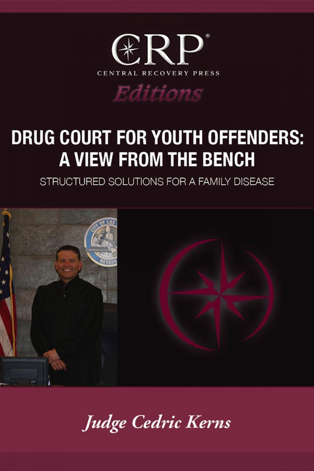 Big bigCover of Drug Court for Young Offenders: A View from the Bench