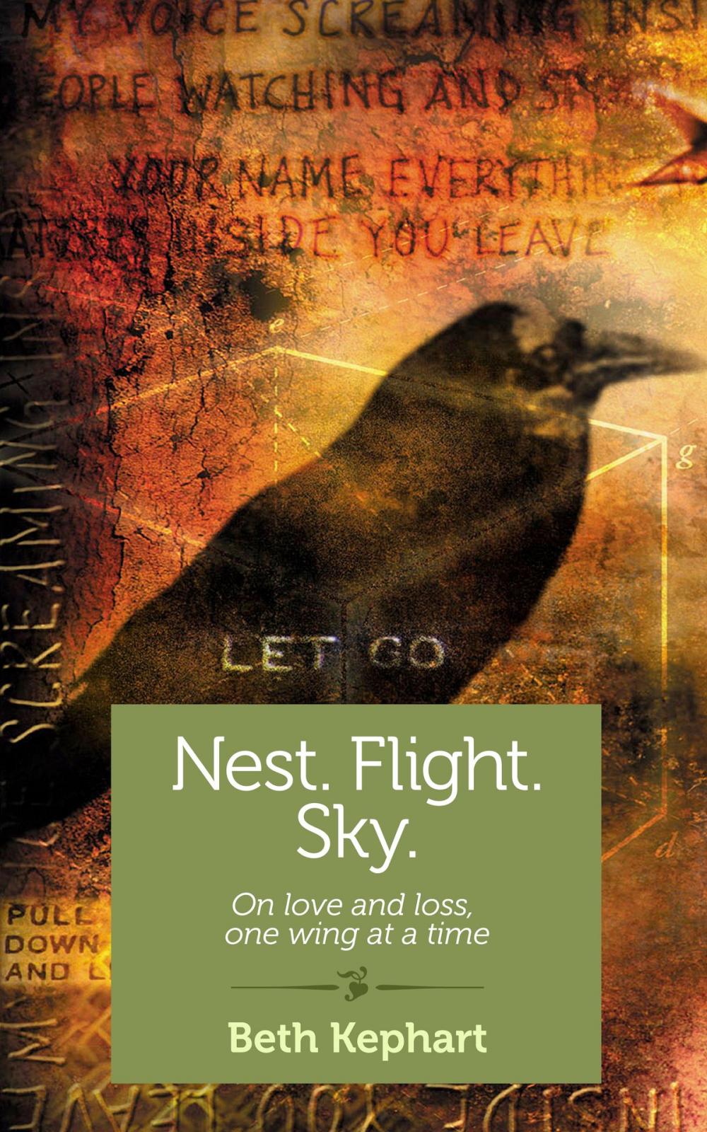 Big bigCover of Nest. Flight. Sky.