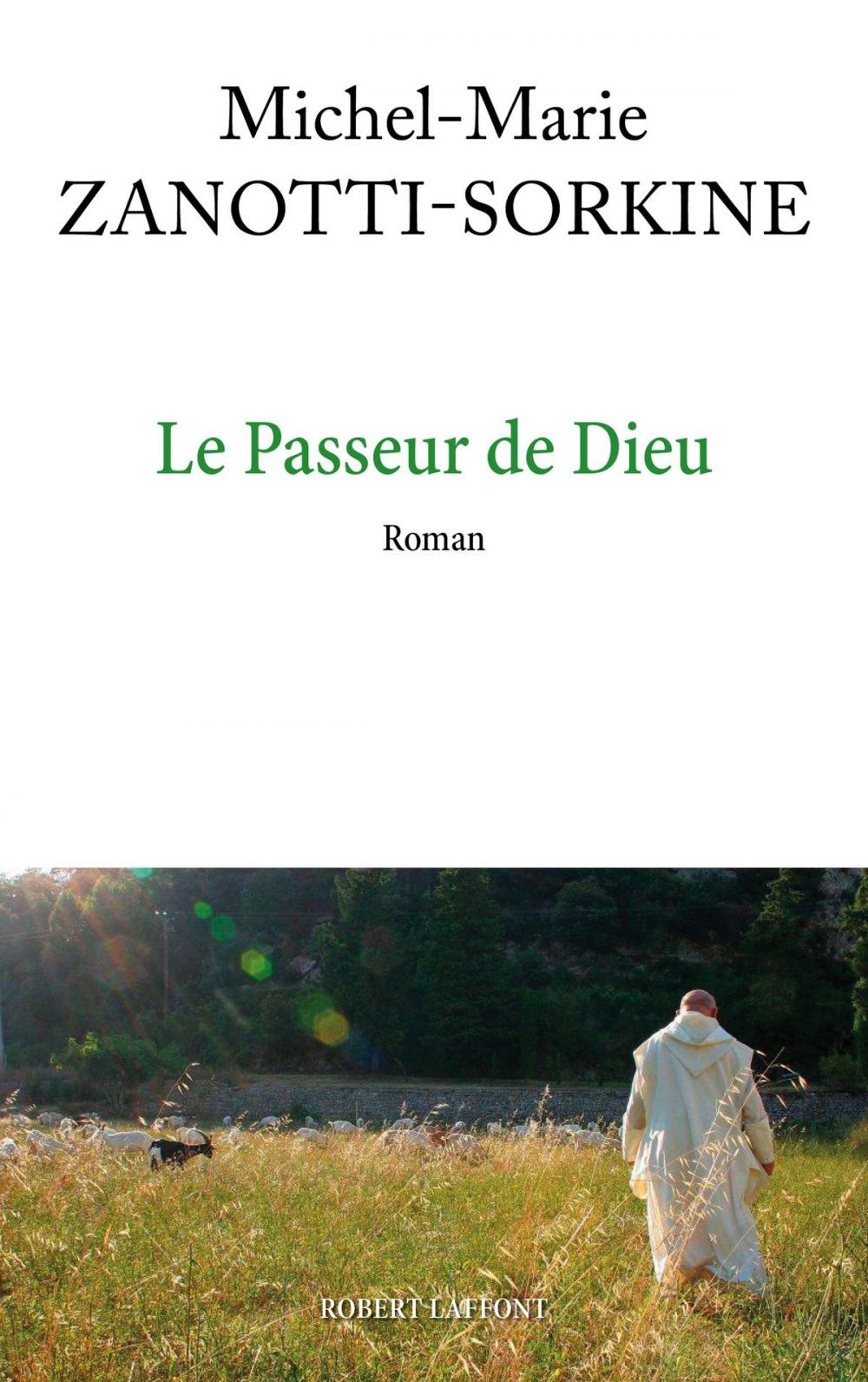 Big bigCover of Le Passeur de Dieu