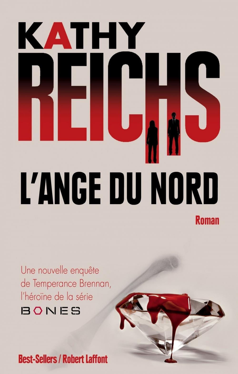 Big bigCover of L'Ange du nord