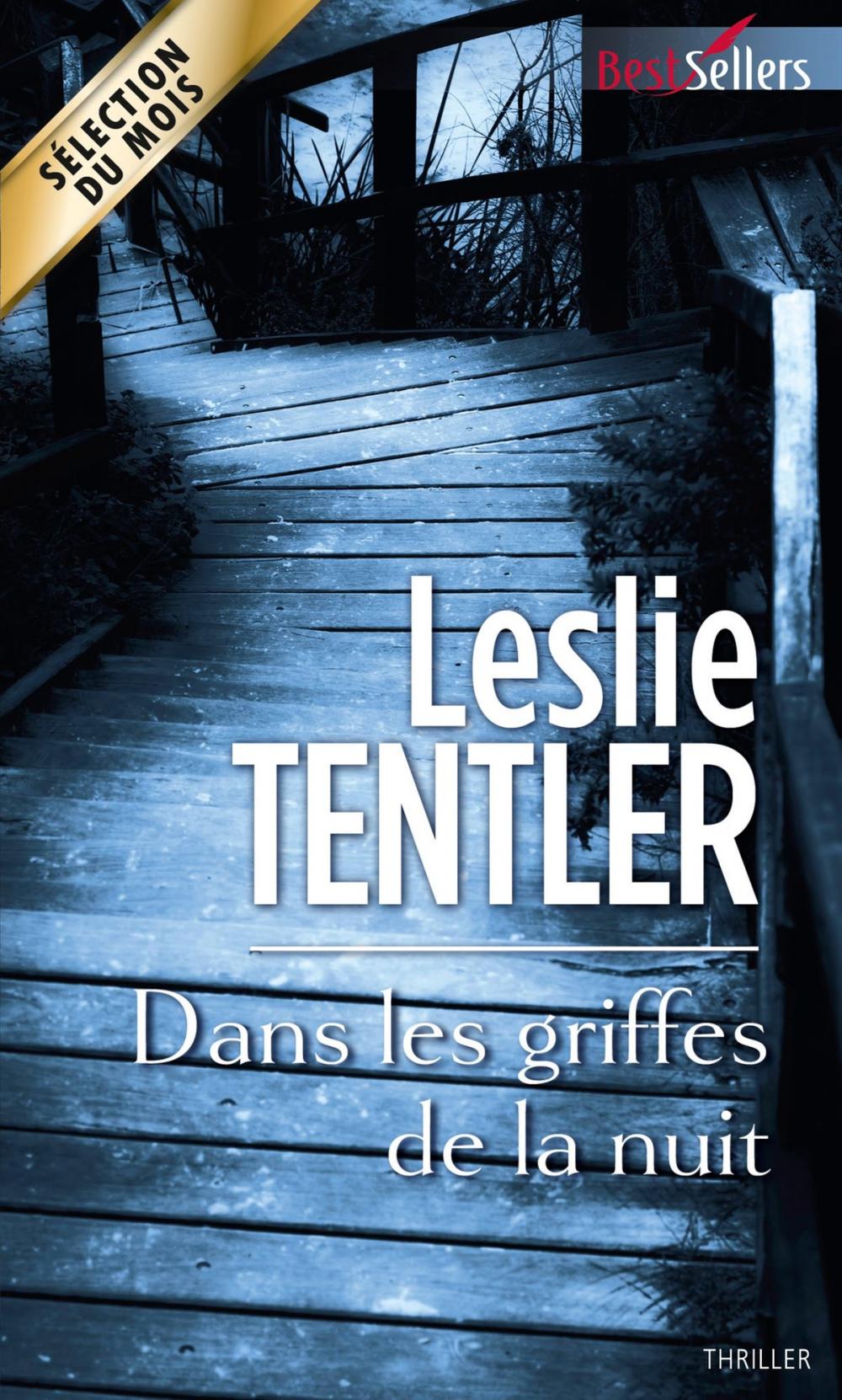 Big bigCover of Dans les griffes de la nuit