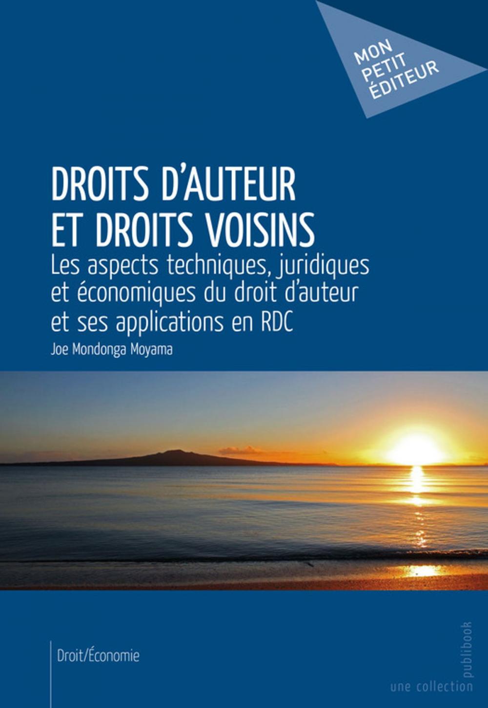 Big bigCover of Droits d'auteur et droits voisins