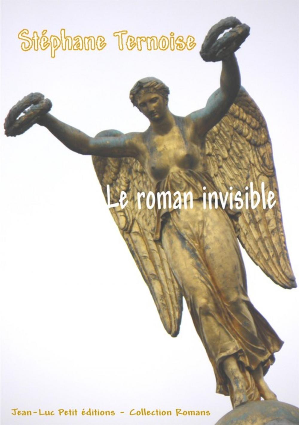 Big bigCover of Le roman invisible