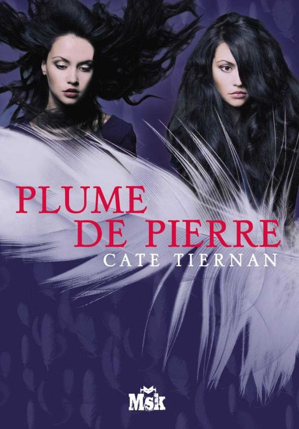 Big bigCover of Plume de pierre