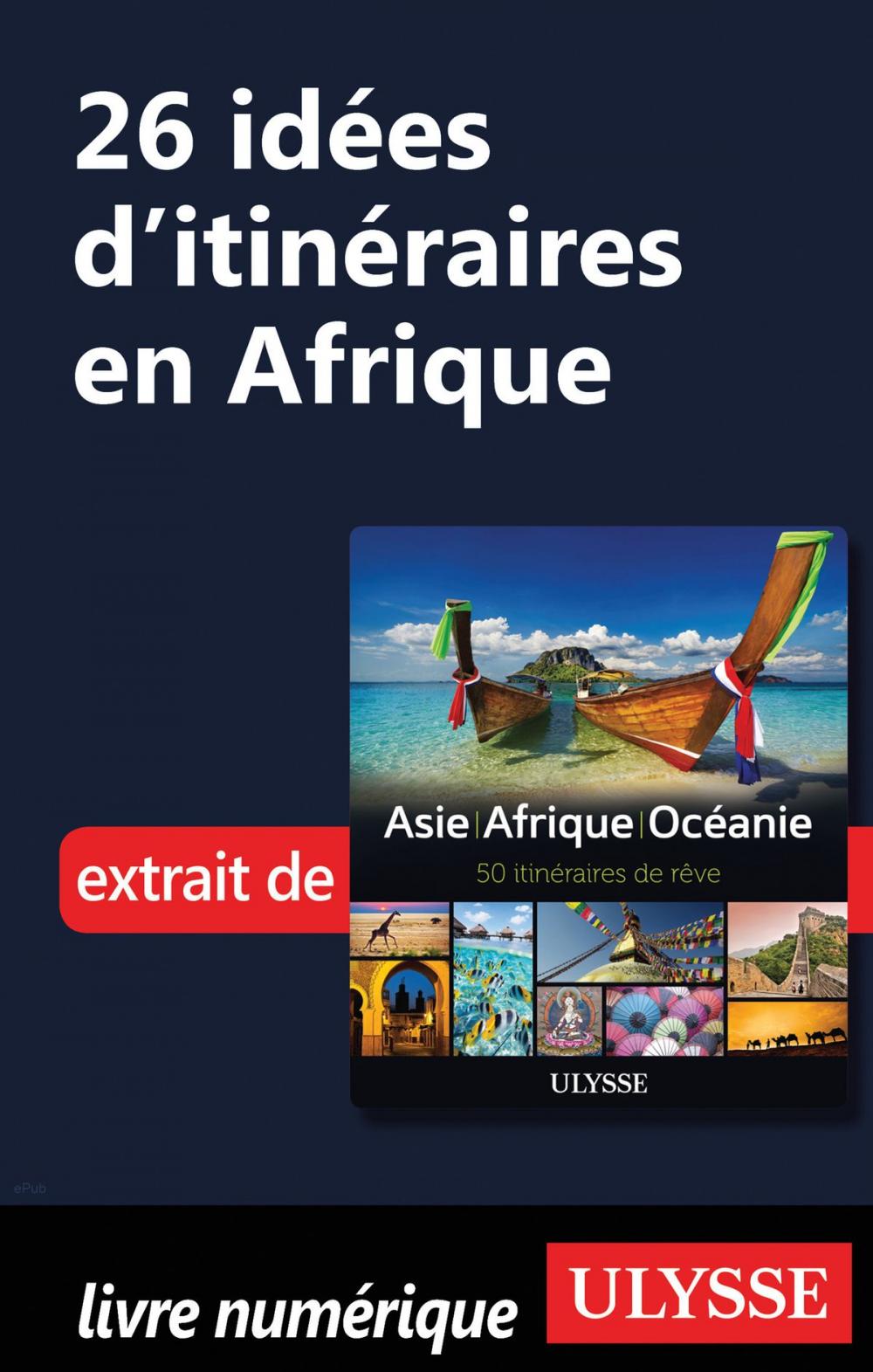 Big bigCover of 26 Idées d'itinéraires en Afrique