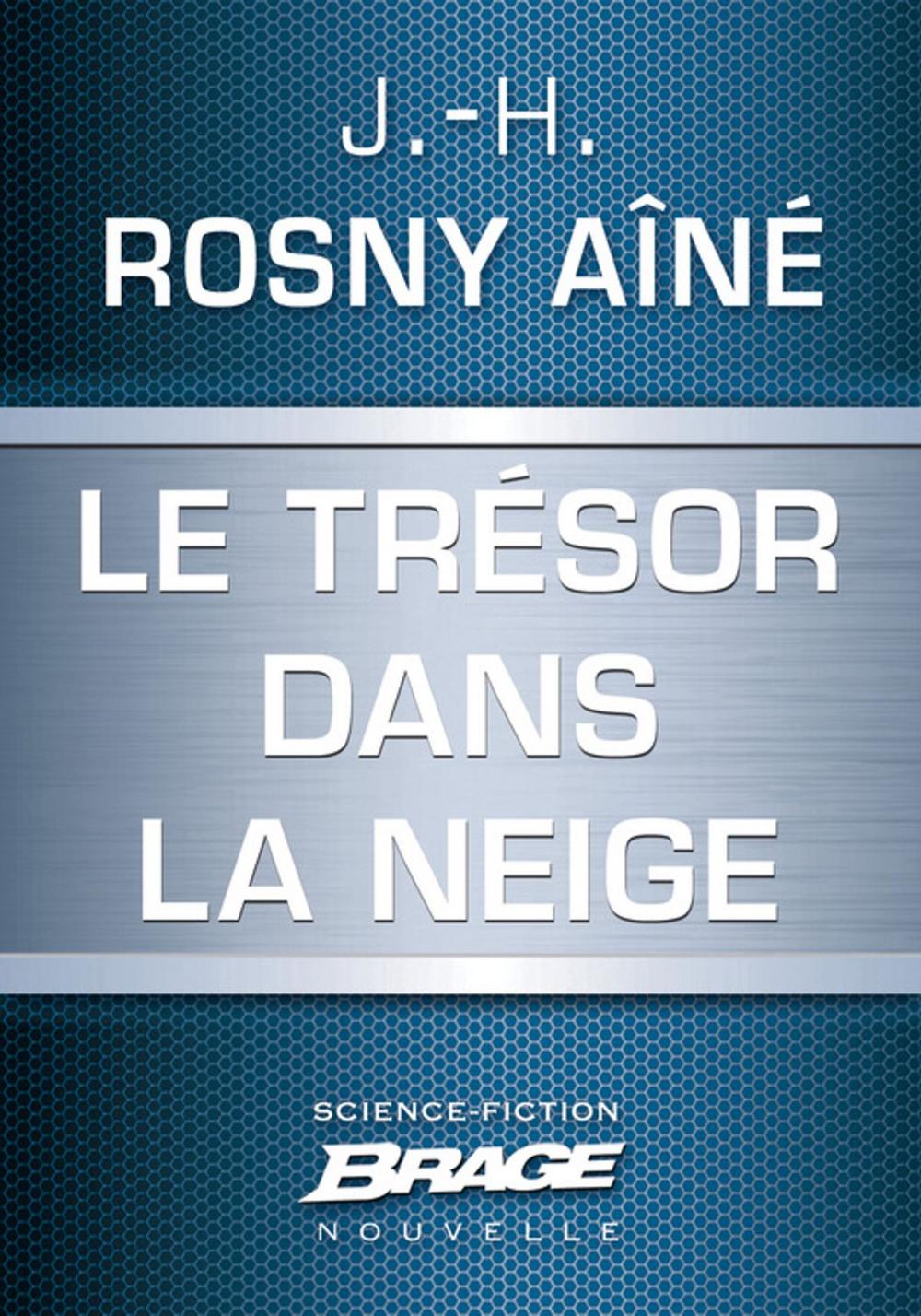 Big bigCover of Le Trésor dans la neige