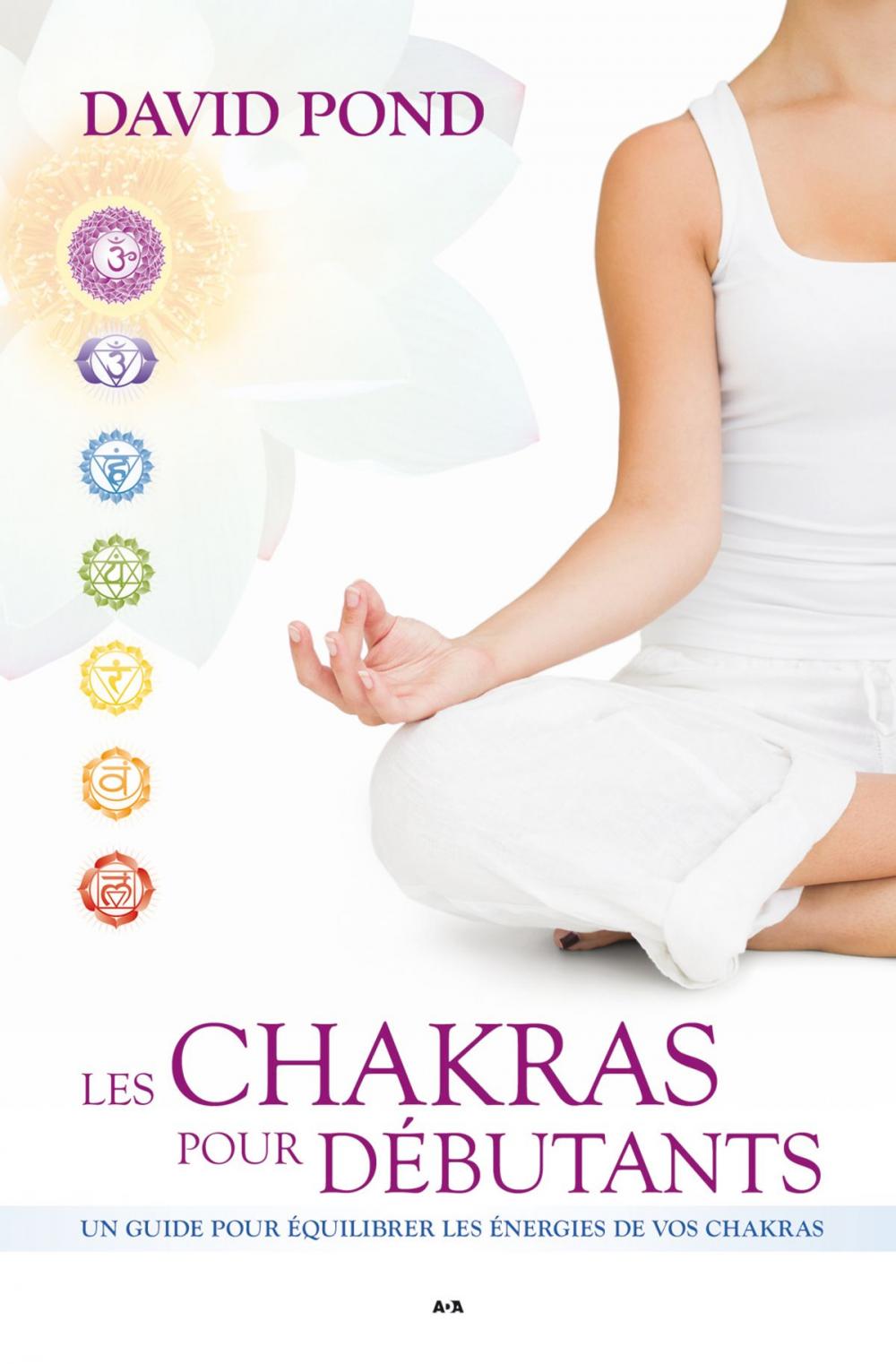 Big bigCover of Les Chakras pour débutants