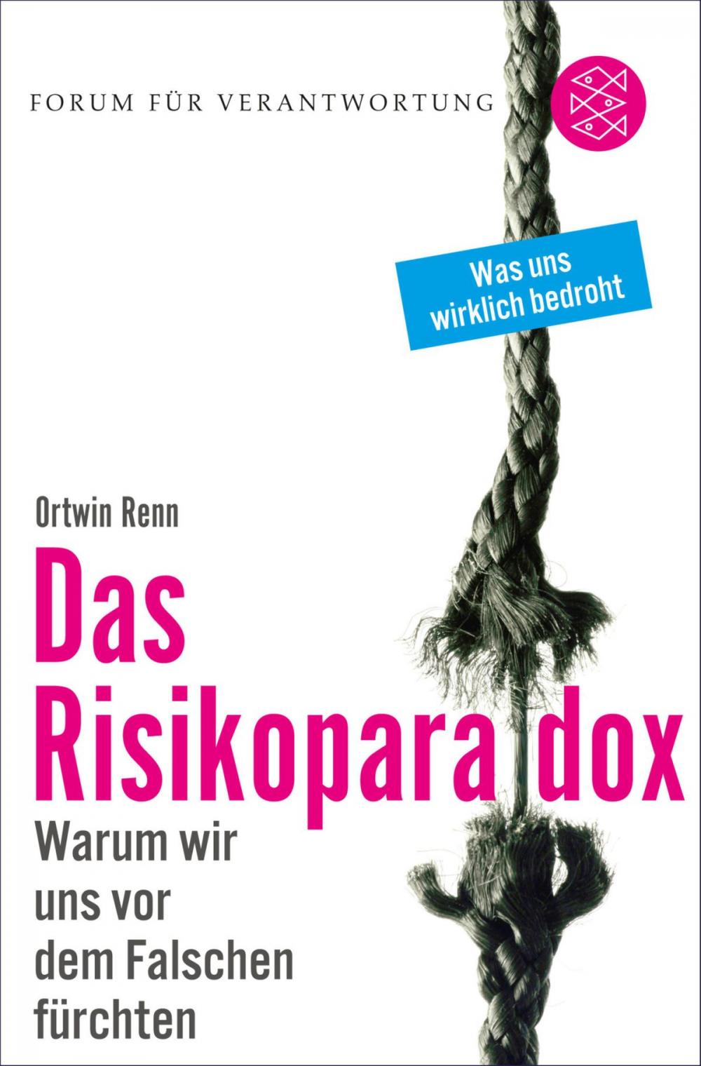 Big bigCover of Das Risikoparadox