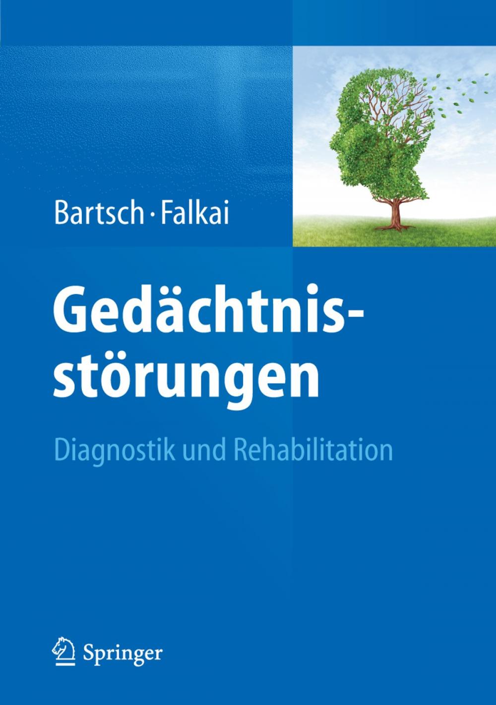 Big bigCover of Gedächtnisstörungen