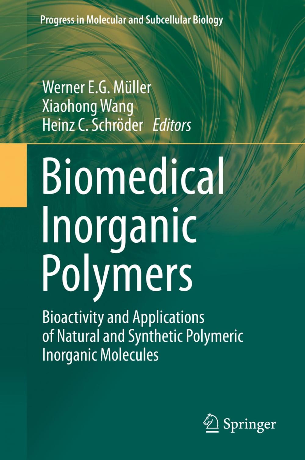 Big bigCover of Biomedical Inorganic Polymers