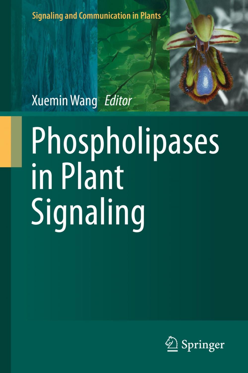 Big bigCover of Phospholipases in Plant Signaling