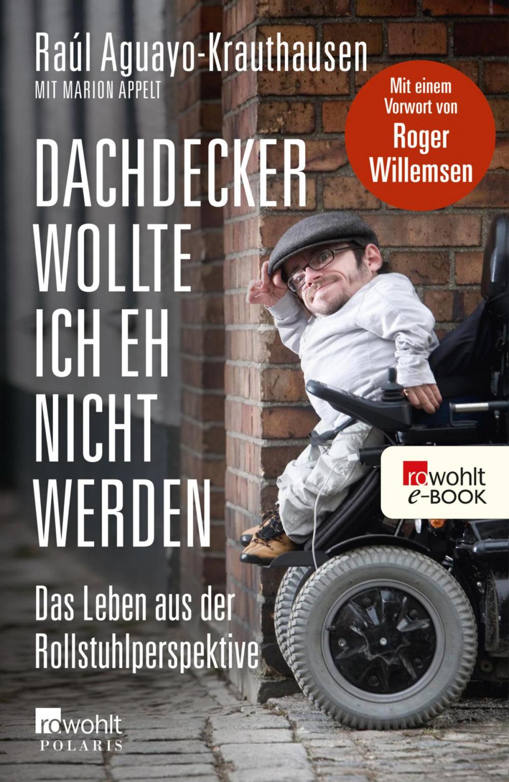 Big bigCover of Dachdecker wollte ich eh nicht werden