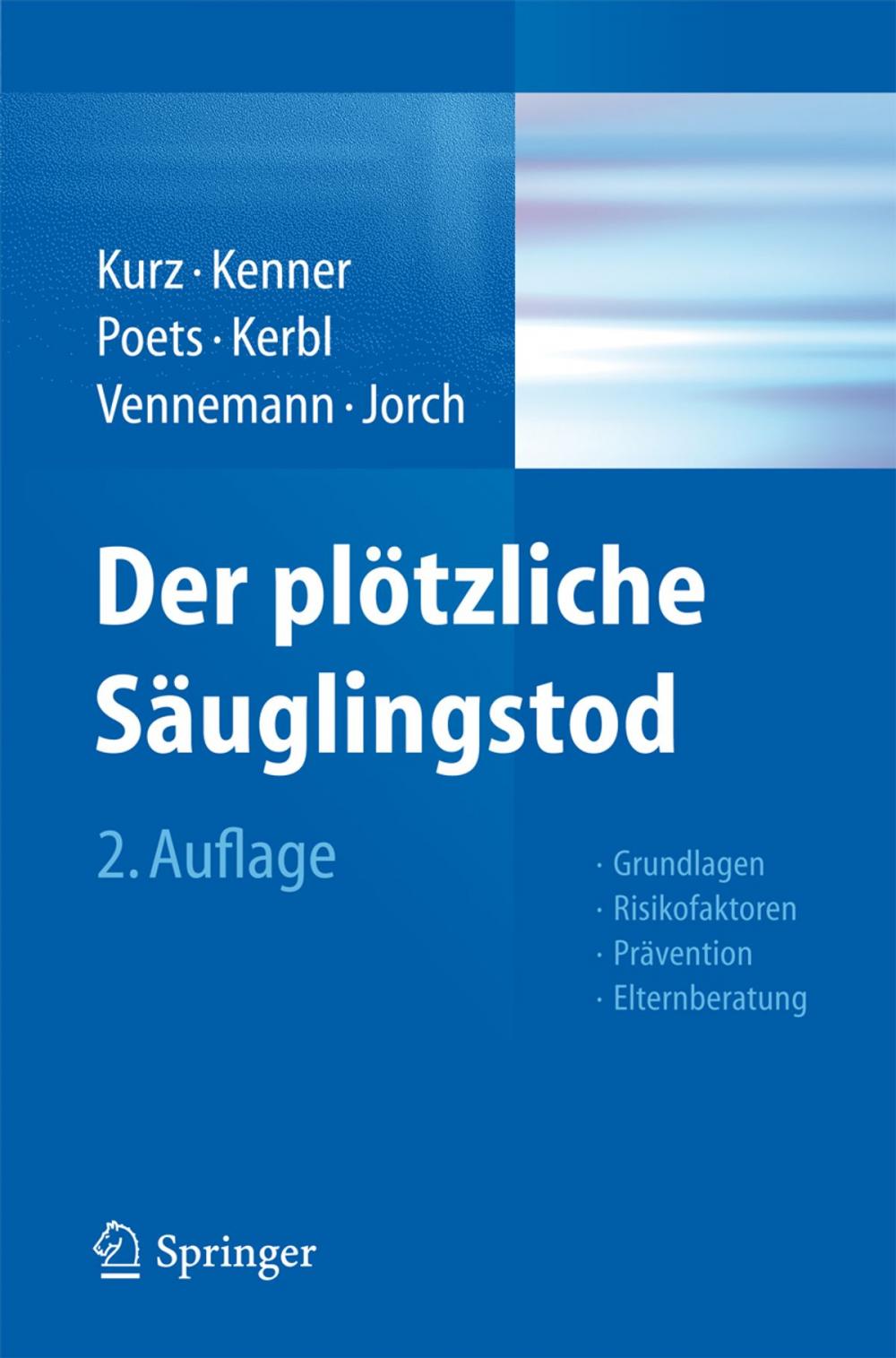 Big bigCover of Der plötzliche Säuglingstod