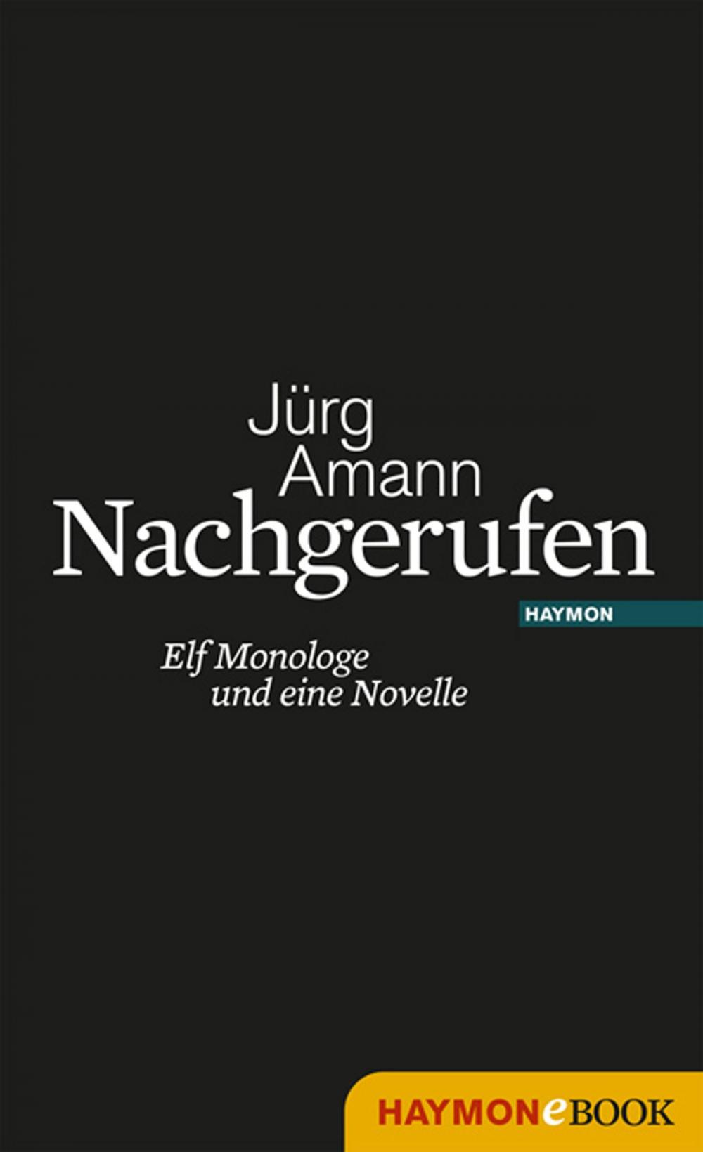 Big bigCover of Nachgerufen