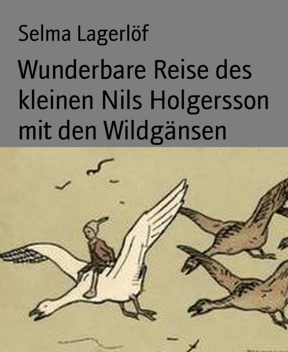 Big bigCover of Wunderbare Reise des kleinen Nils Holgersson mit den Wildgänsen