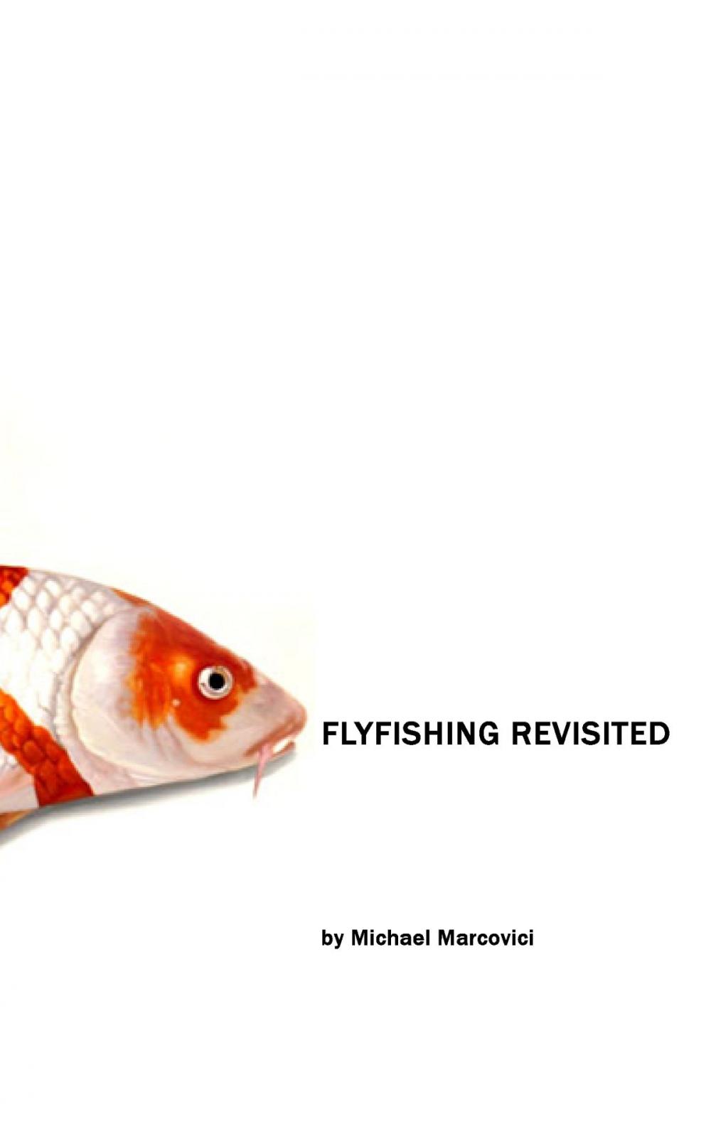 Big bigCover of The Flyfishing Revisited