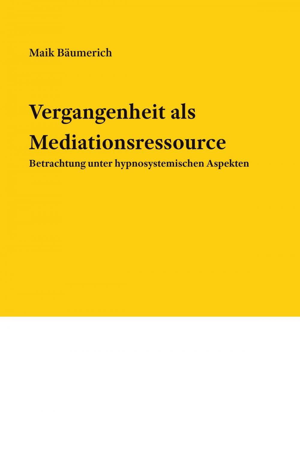 Big bigCover of Vergangenheit als Mediationsressource