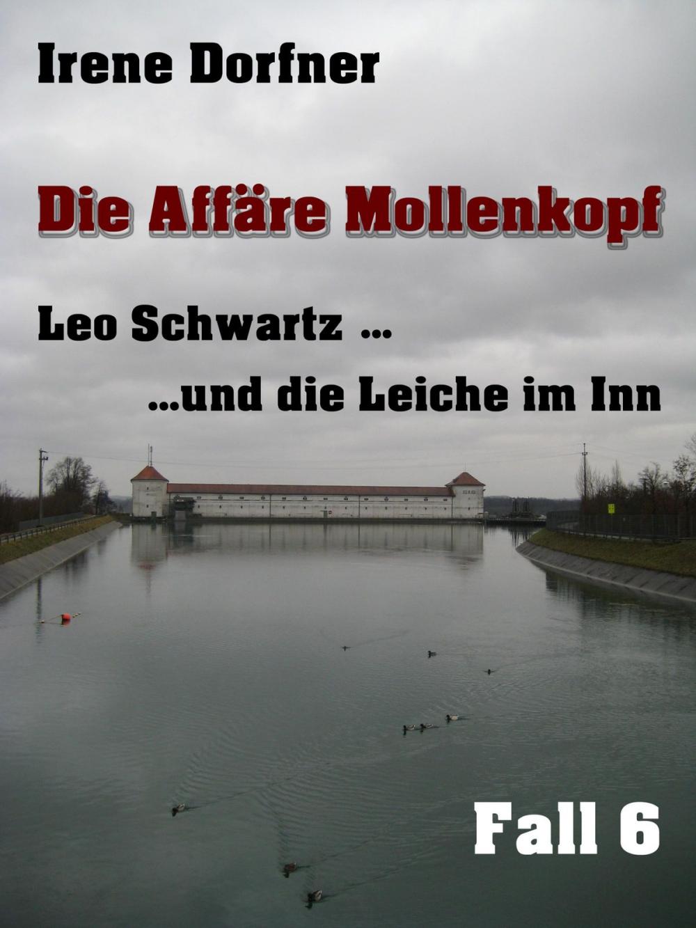 Big bigCover of Die Affäre Mollenkopf