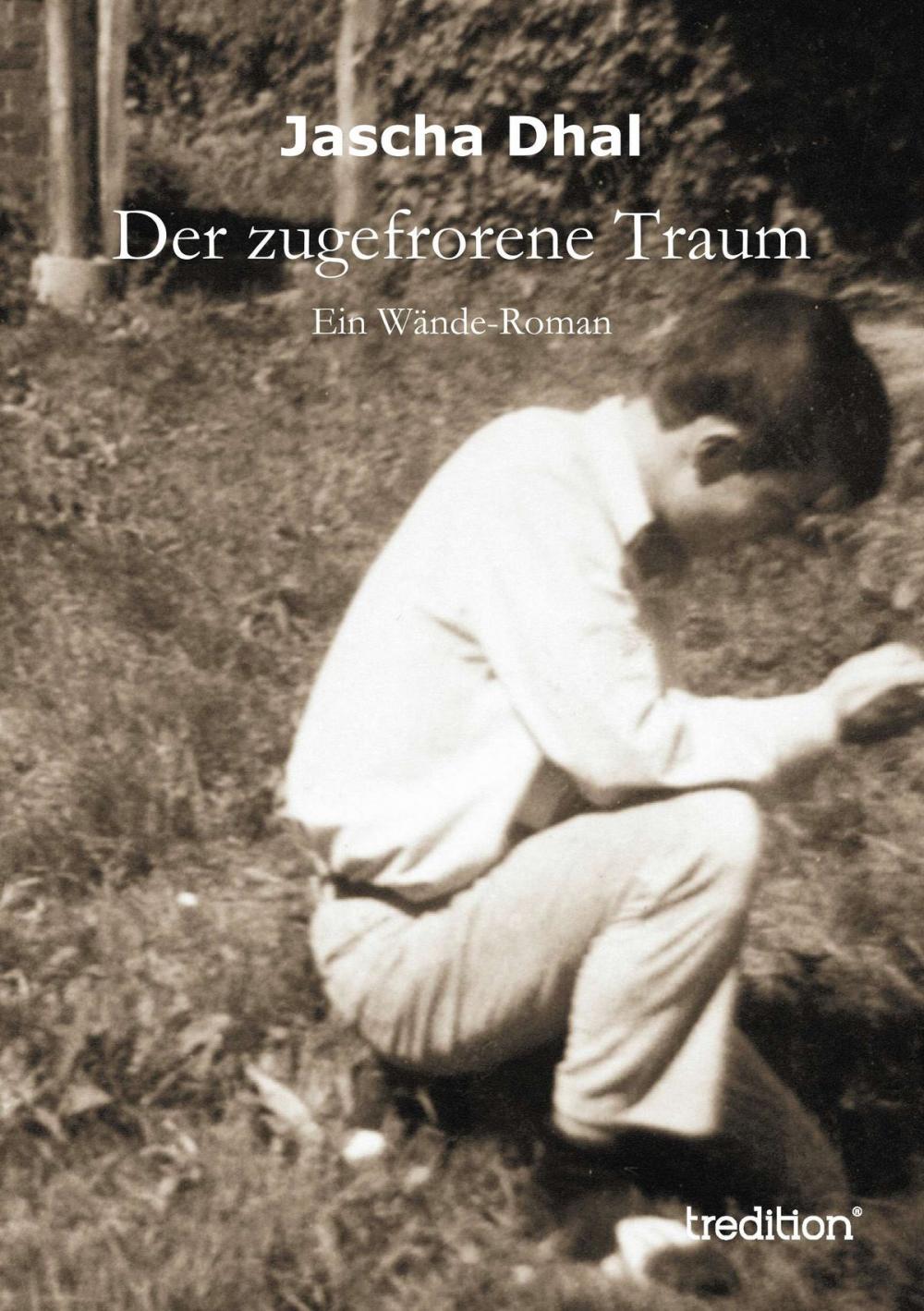 Big bigCover of Der zugefrorene Traum