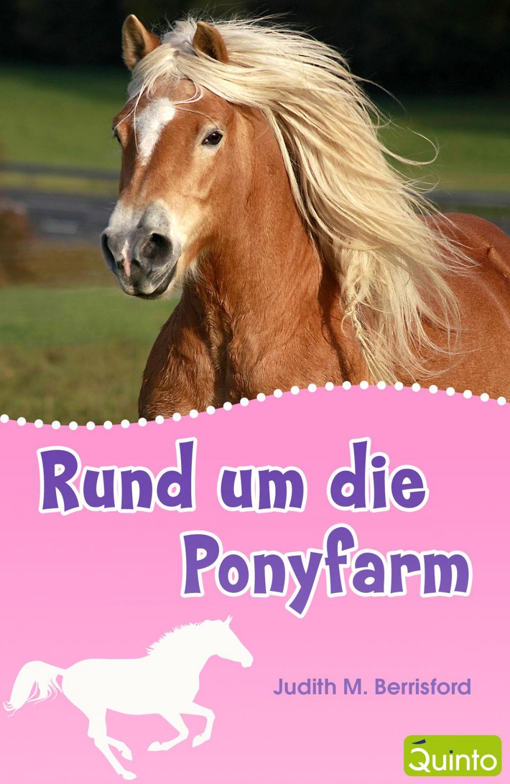 Big bigCover of Rund um die Ponyfarm