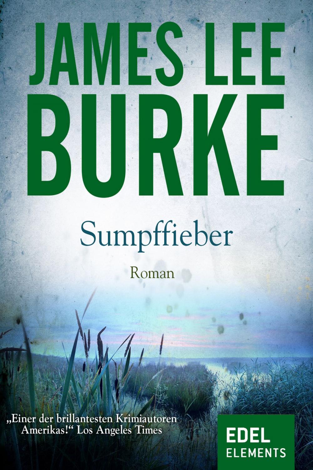 Big bigCover of Sumpffieber