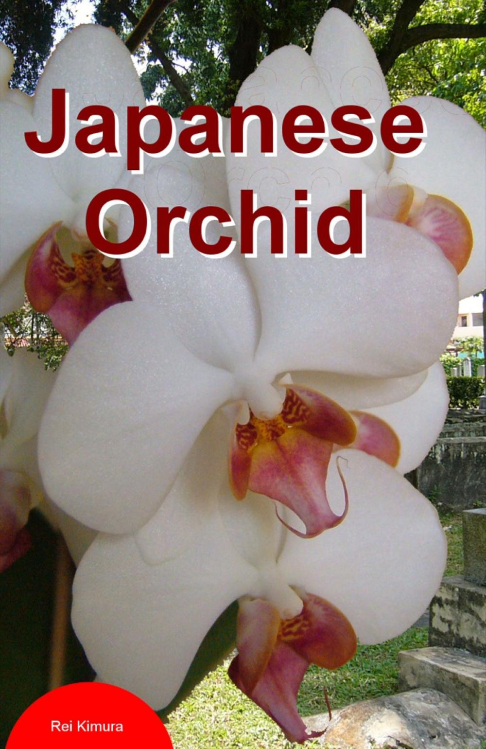 Big bigCover of Japanese Orchid