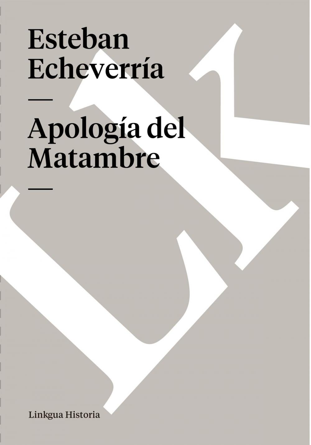 Big bigCover of Apología del Matambre