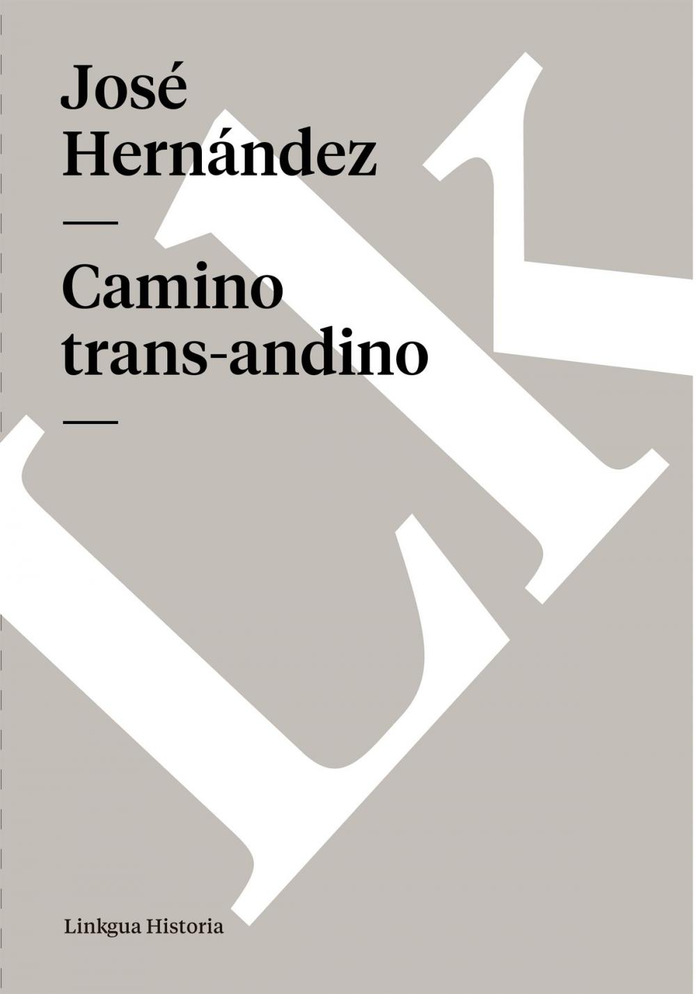 Big bigCover of Camino trans-andino