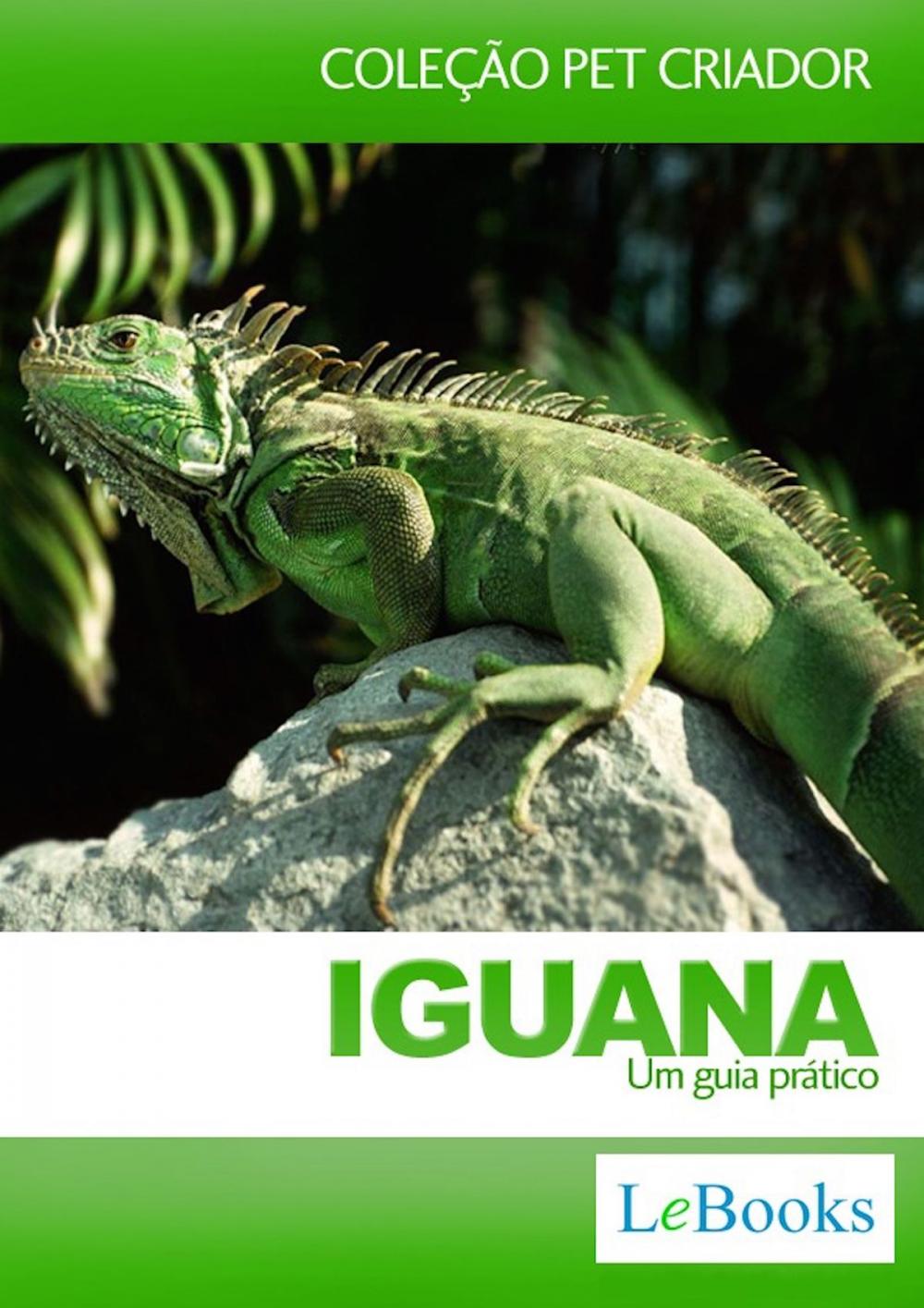 Big bigCover of Iguana