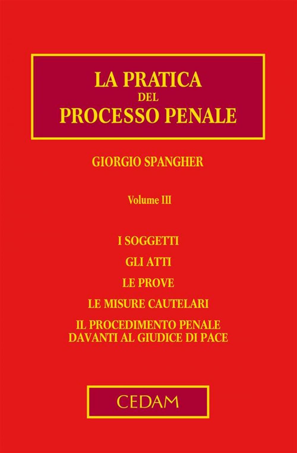 Big bigCover of La pratica del processo penale. Volume III