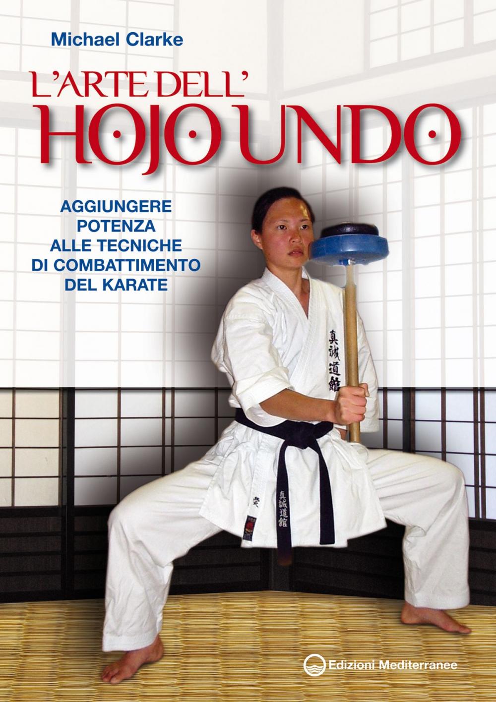 Big bigCover of L'Arte dell'Hojo Undo