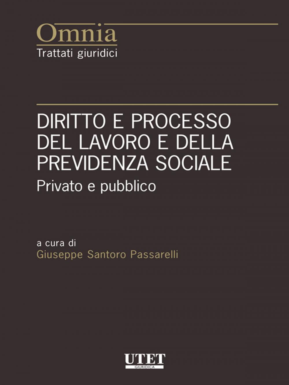 Big bigCover of Diritto e processo del lavoro e della previdenza sociale