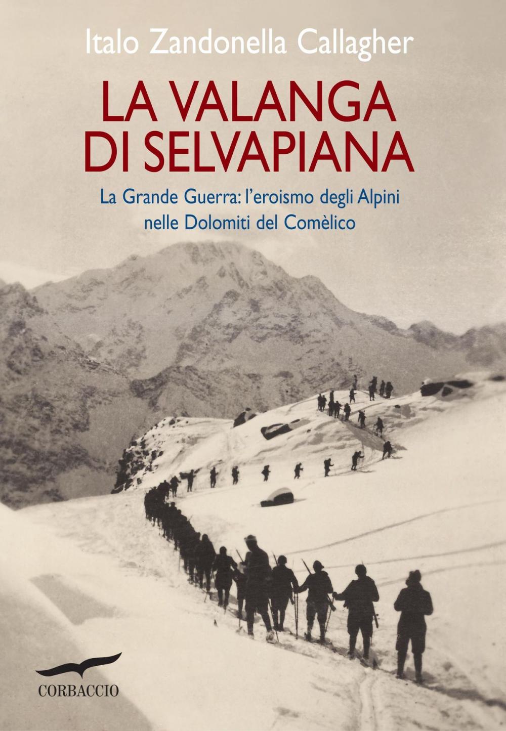 Big bigCover of La valanga di Selvapiana