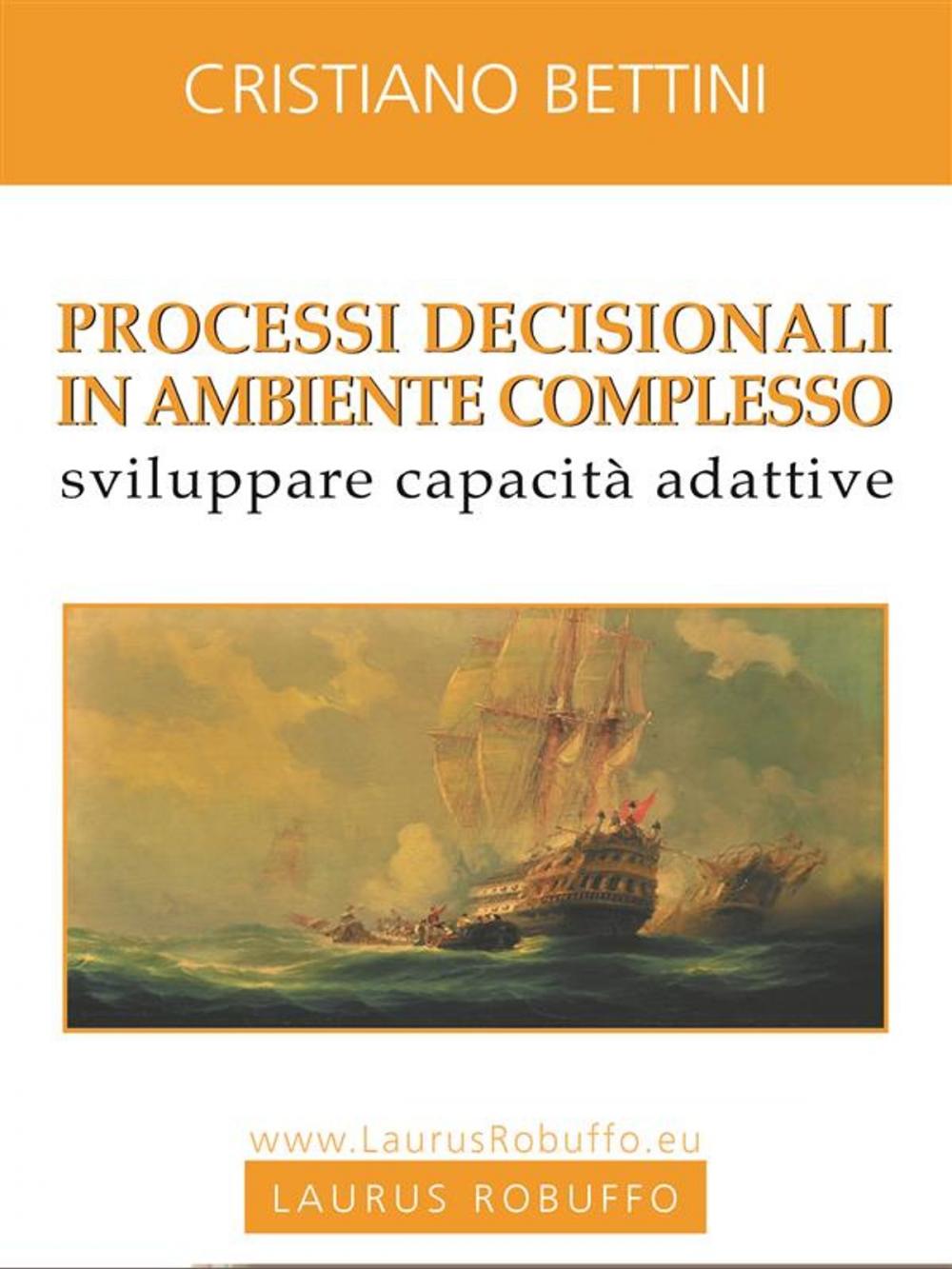 Big bigCover of Processi decisionali in ambiente complesso