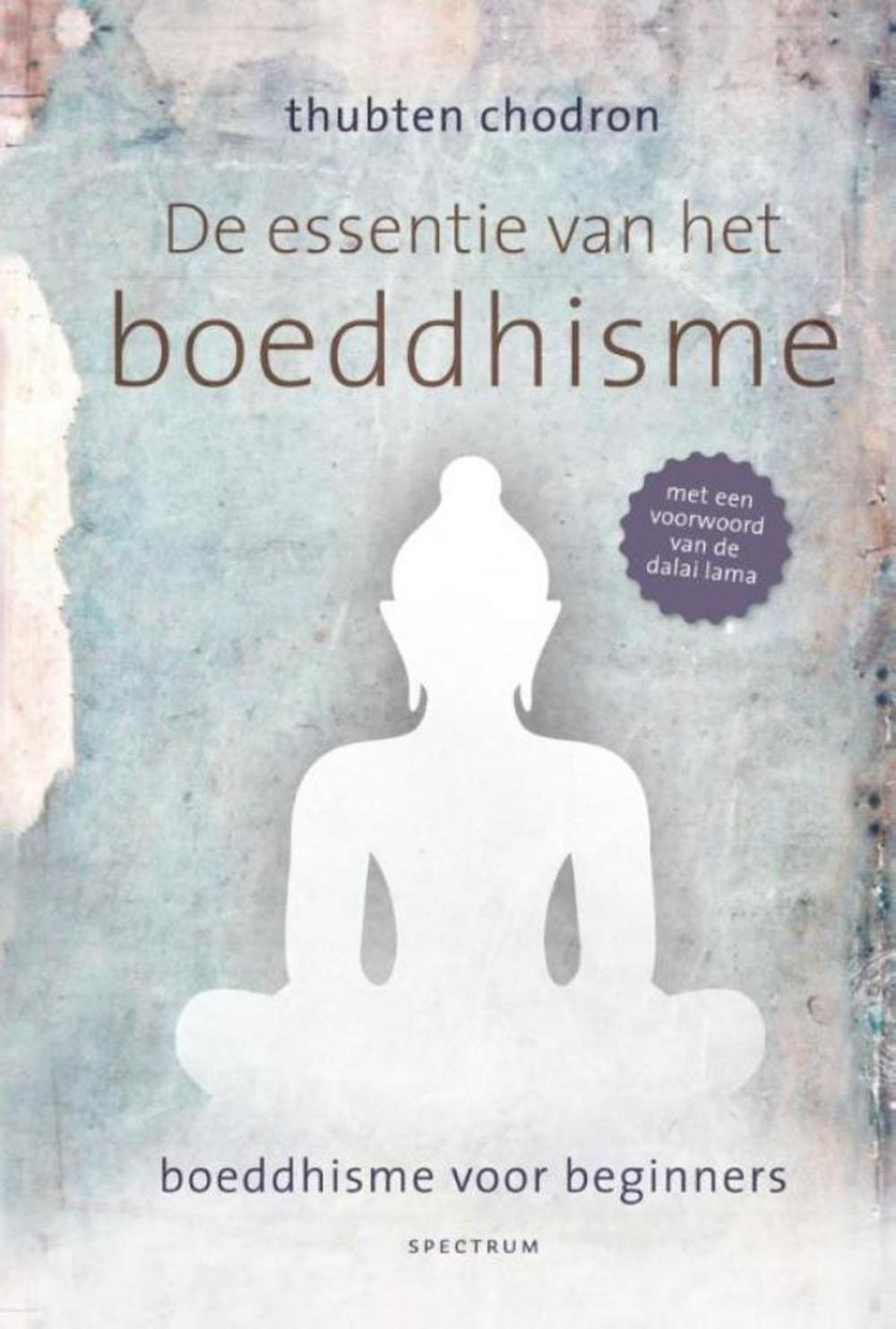 Big bigCover of De essentie van het boeddhisme